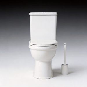 Wholesale Rimless Two-Piece Toilet Manufacturer cUPC CE UKCA WaterMark Certified - CT11860 TAITAO